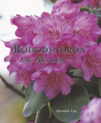 rododendron