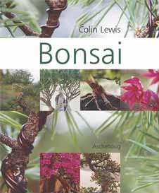bonsai